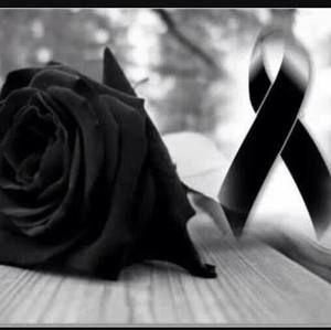 Meet your Posher, Rosa